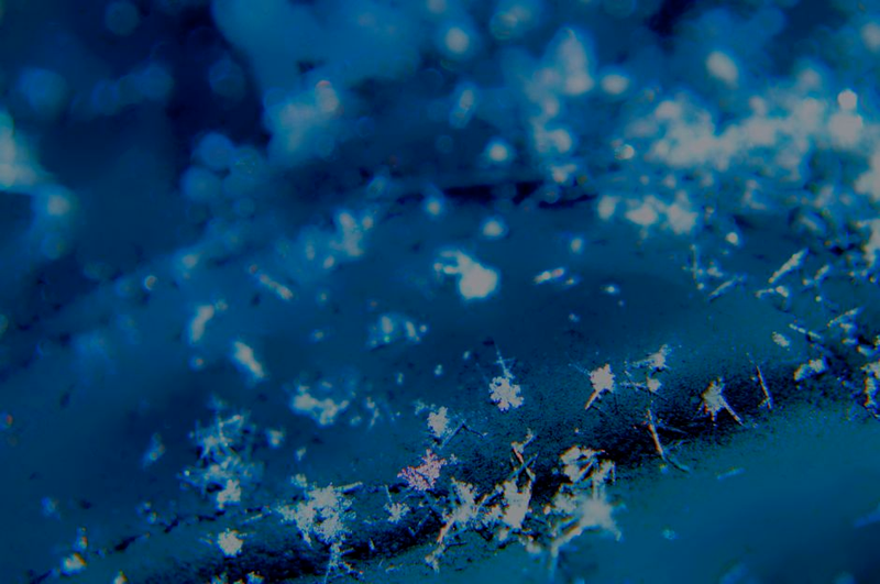 Illustration for article titled Shooting Challenge: Bokeh, Gallery 5